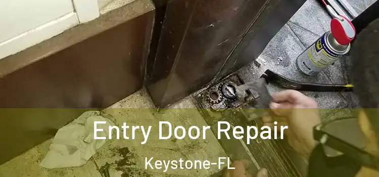 Entry Door Repair Keystone-FL