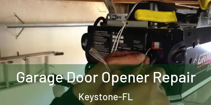 Garage Door Opener Repair Keystone-FL