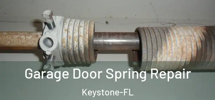 Garage Door Spring Repair Keystone-FL