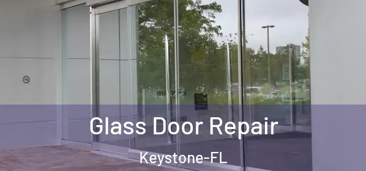  Glass Door Repair Keystone-FL