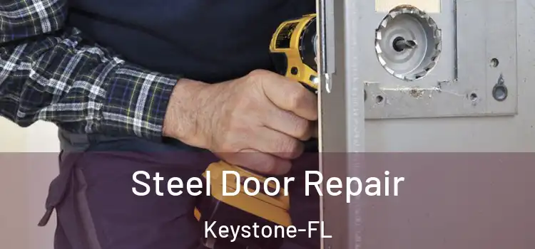  Steel Door Repair Keystone-FL